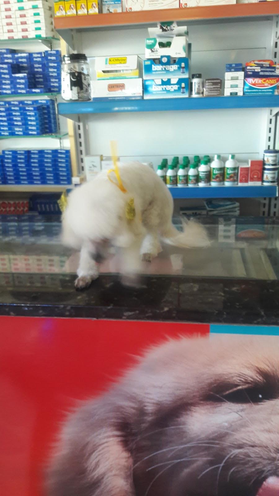 Parada Animal Pet Shop E Veterinaria - Pet Shop em Várzea Grande