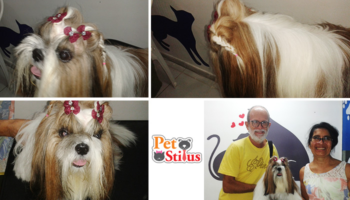 PET STILUS - Foto 5