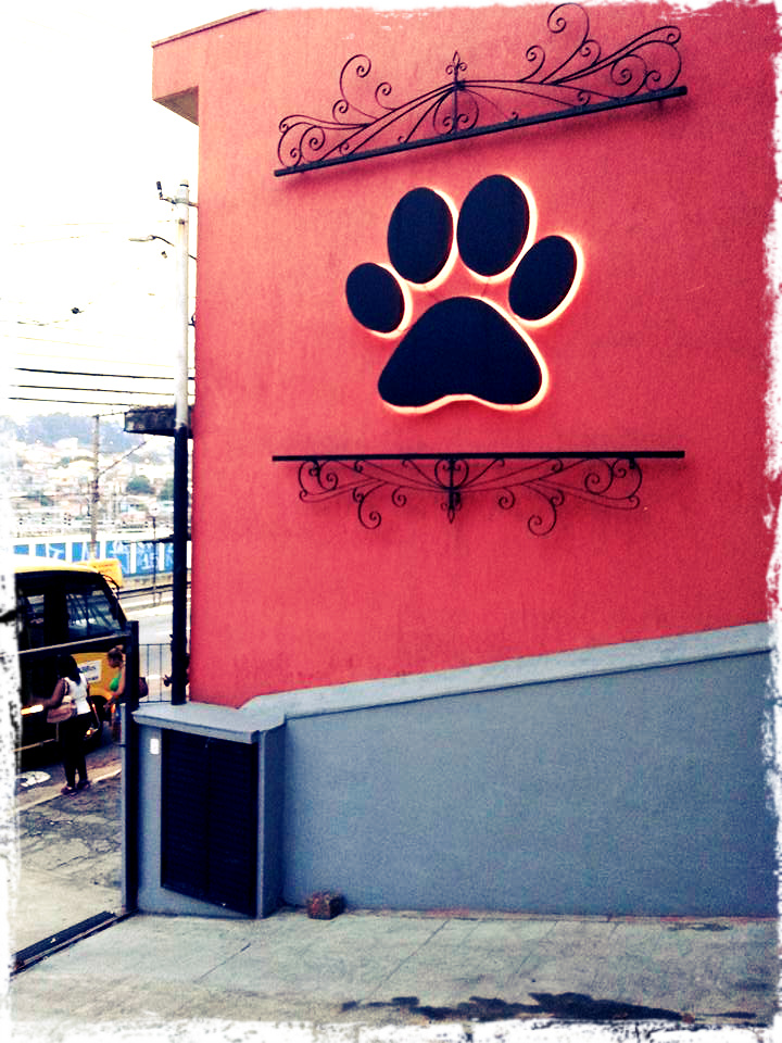 Animal Racional Medicina Veterinária