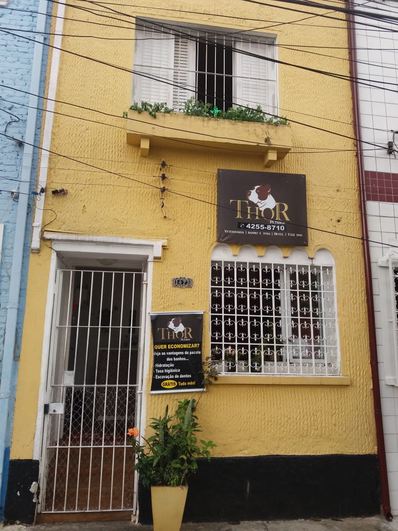 Thor Pet Shop - Foto 2