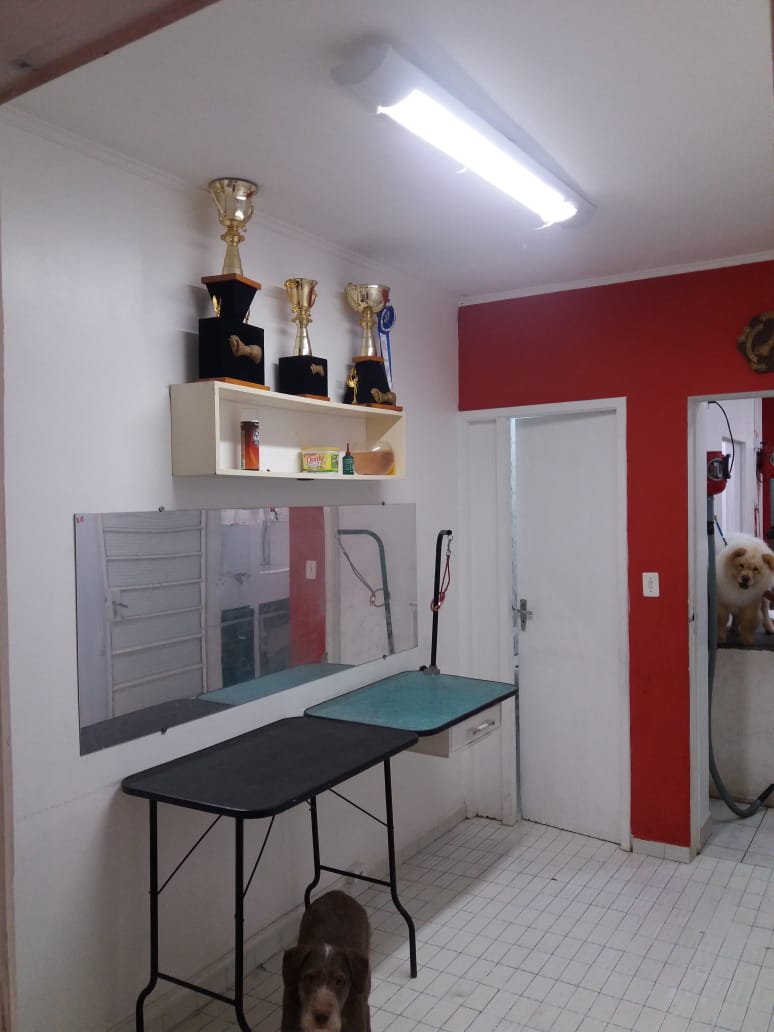 Thor Pet Shop - Foto 5