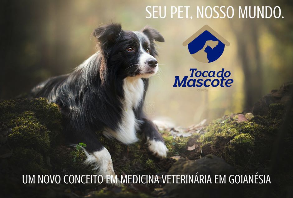 TOCA DO MASCOTE