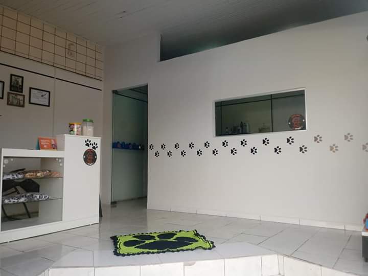 Pet Shop Deita e Rola - Foto 2