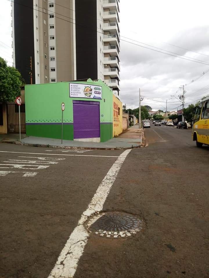 Pet Shop Deita e Rola - Foto 4