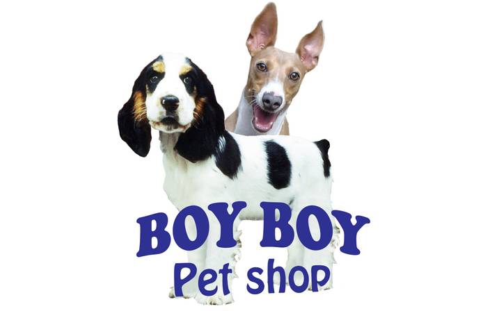 BOY BOY PET SHOP