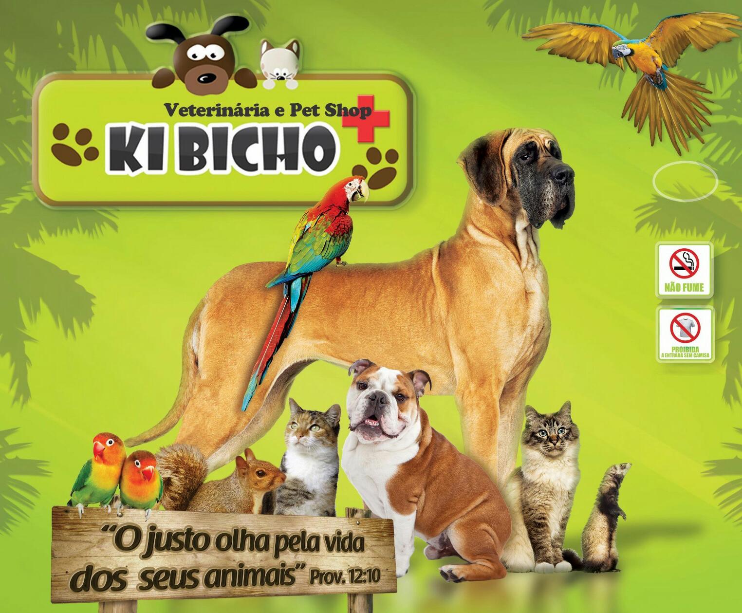 Clínica veterinária ki bicho
