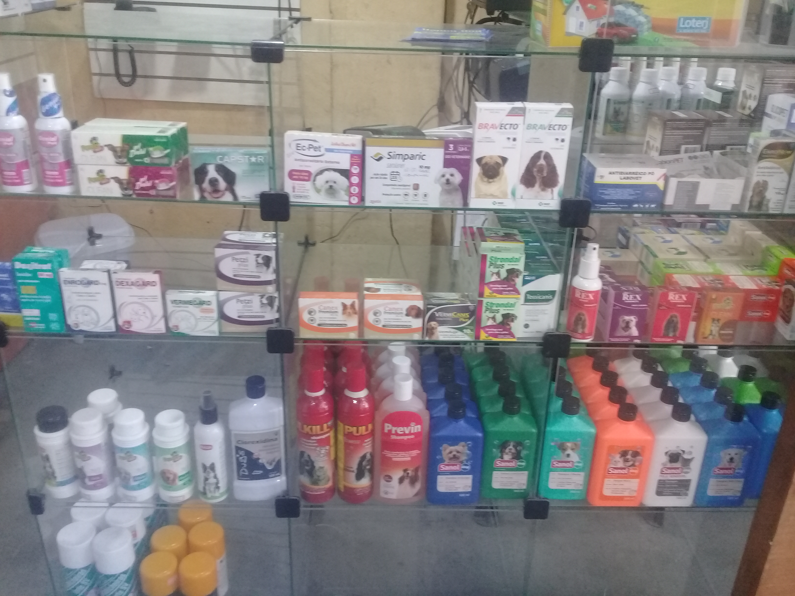 Flipper Pet Shop - Foto 3