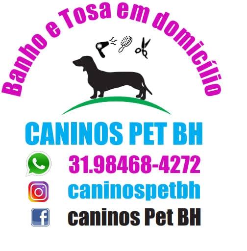 Caninos Pet Bh 