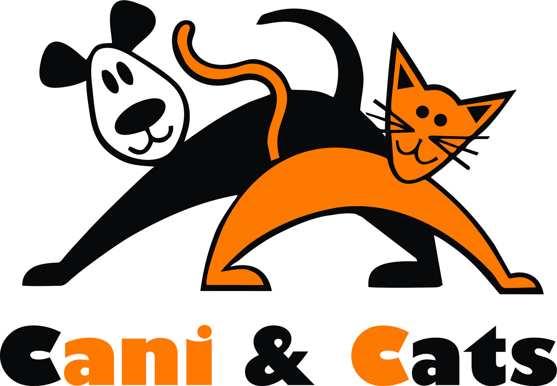 Cani & Cats - Foto 2