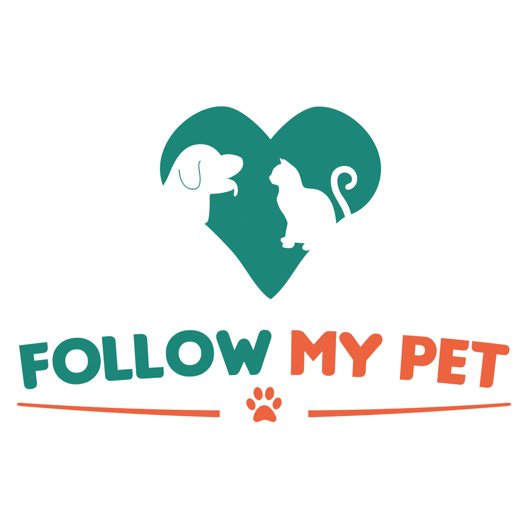 Foto de Follow My Pet - Teresina