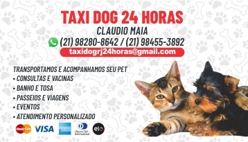 TaxiDog 24 horas