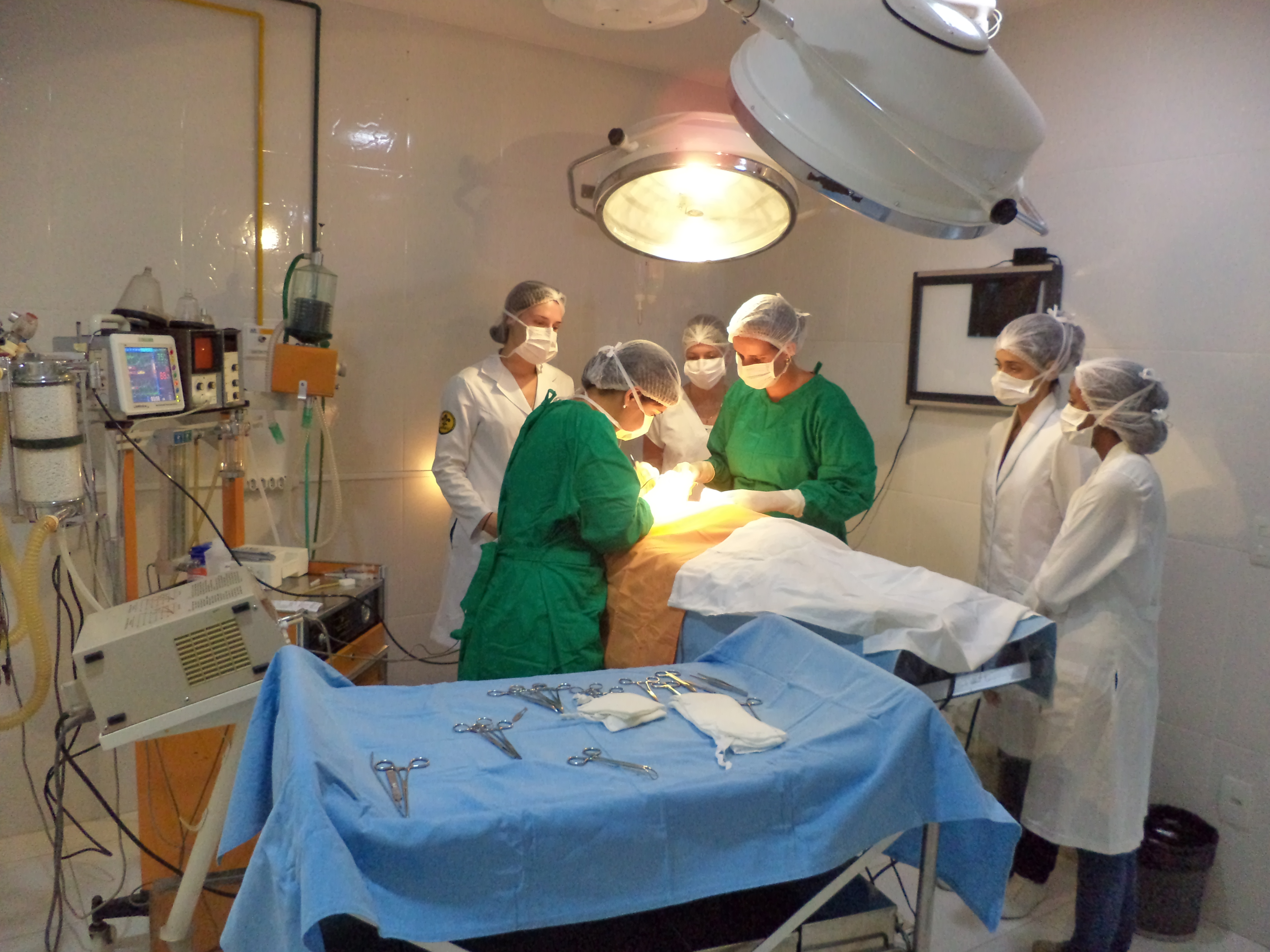 Hospital Veterinário Niterói - Foto 5