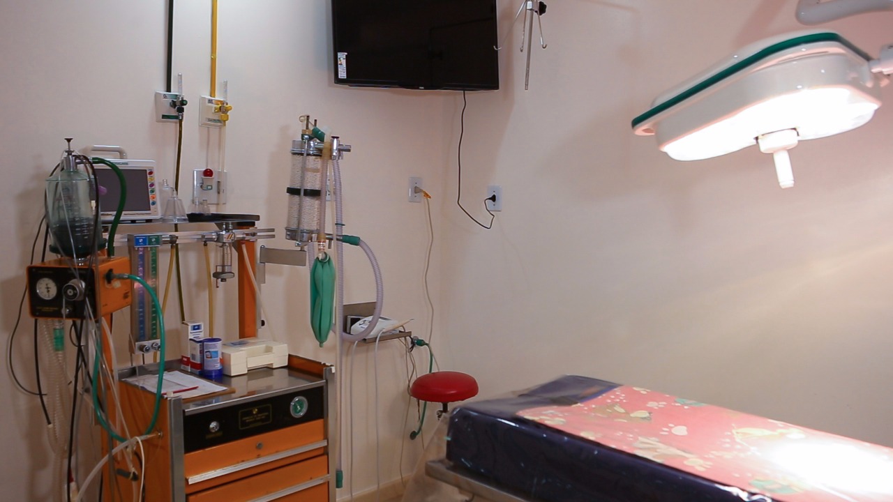 Hospital Veterinário Niterói - Foto 2