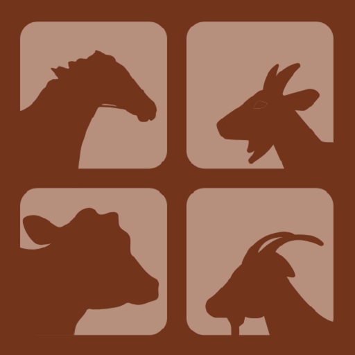 Assistência Veterinária  - Pet Shop em Taubaté