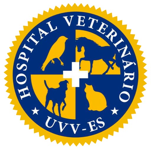 Hospital Veterinário da UVV-ES, Prof. Ricardo Alexandre Hippler