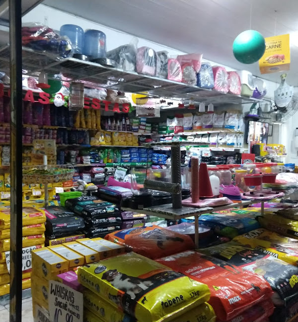 BELOCÃO PET SHOP - Foto 3