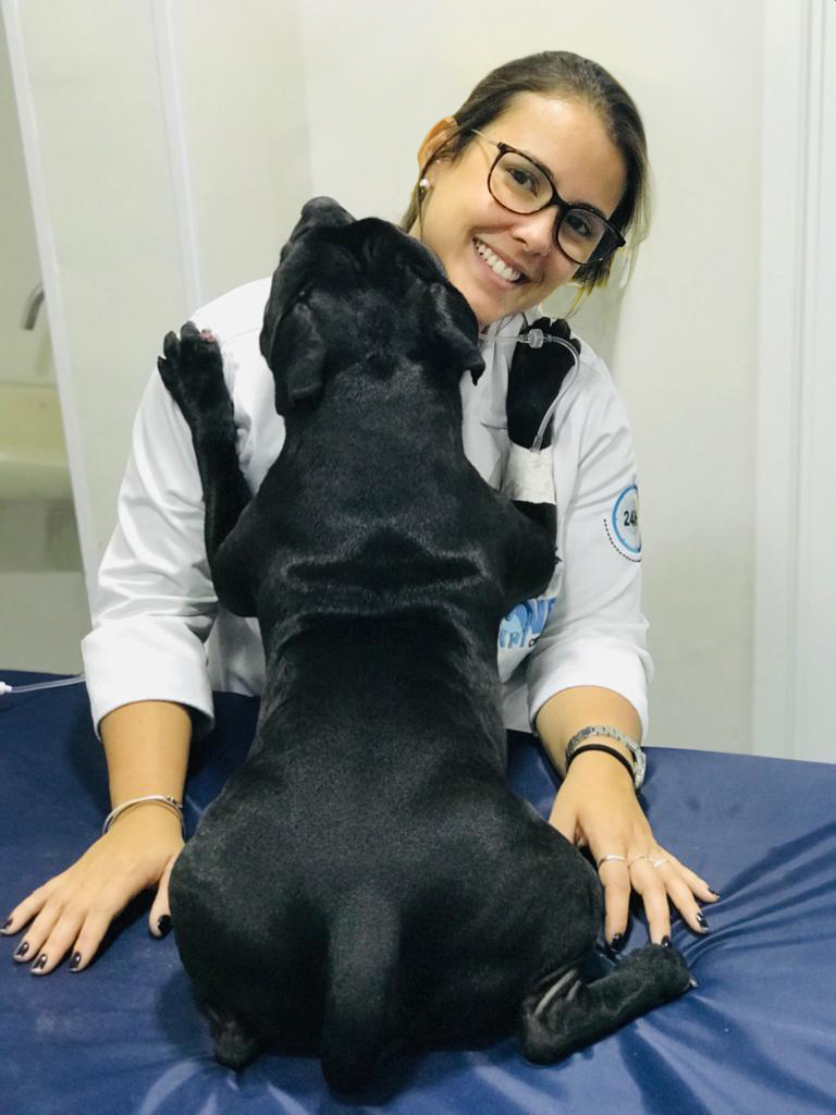 Vet Cirúrgica Clínica Veterinária Niterói RJ - Foto 5