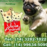 CLINICA VETERINÁRIA VIDA ANIMAL