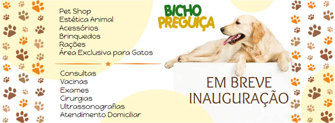 Pet Shop Bicho Preguiça - Foto 2
